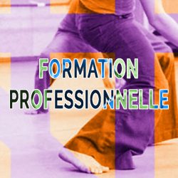 B-pedagogie-FORMATION-PROFESSIONNELLE-Haim-Adri